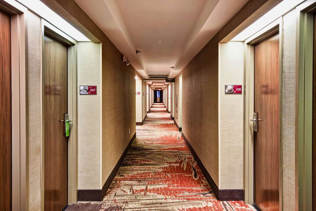 Hampton Inn Starkville İç mekan fotoğraf